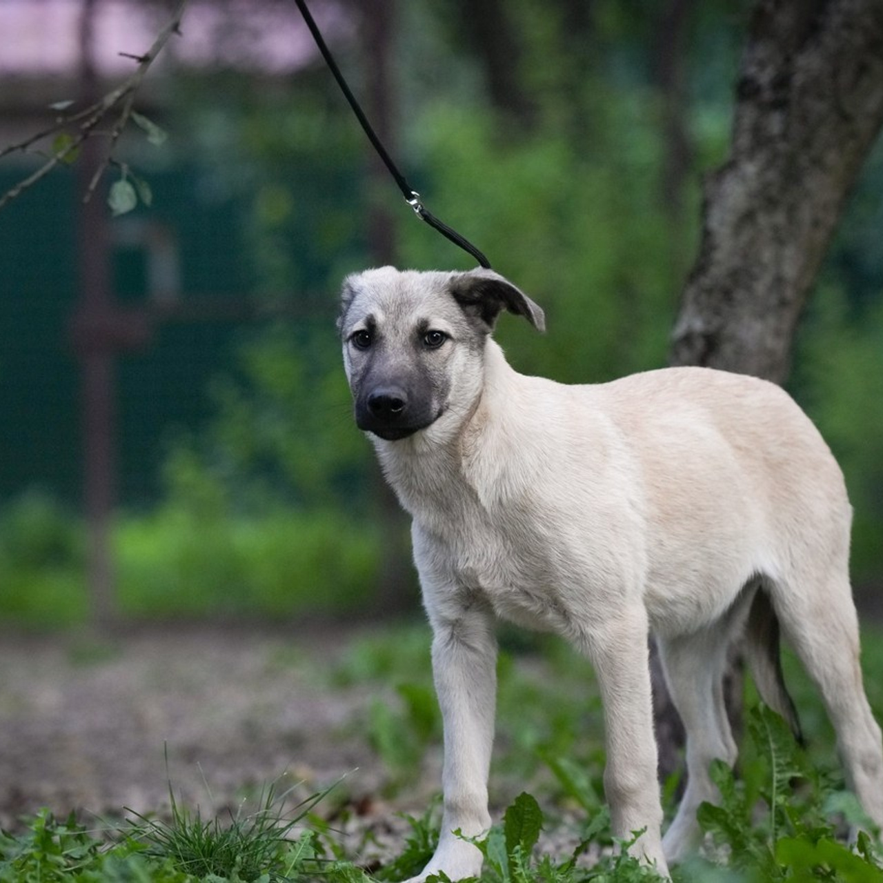Отзывы. Фотограф Светлана Белоусова