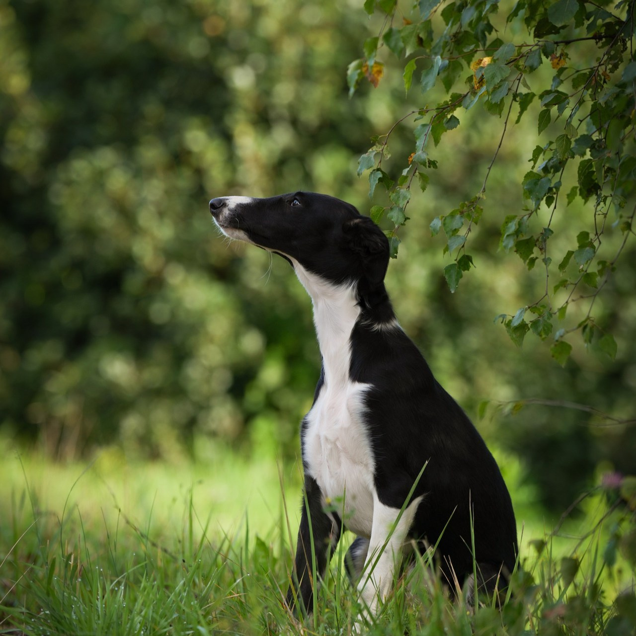 Отзывы. Фотограф Светлана Белоусова