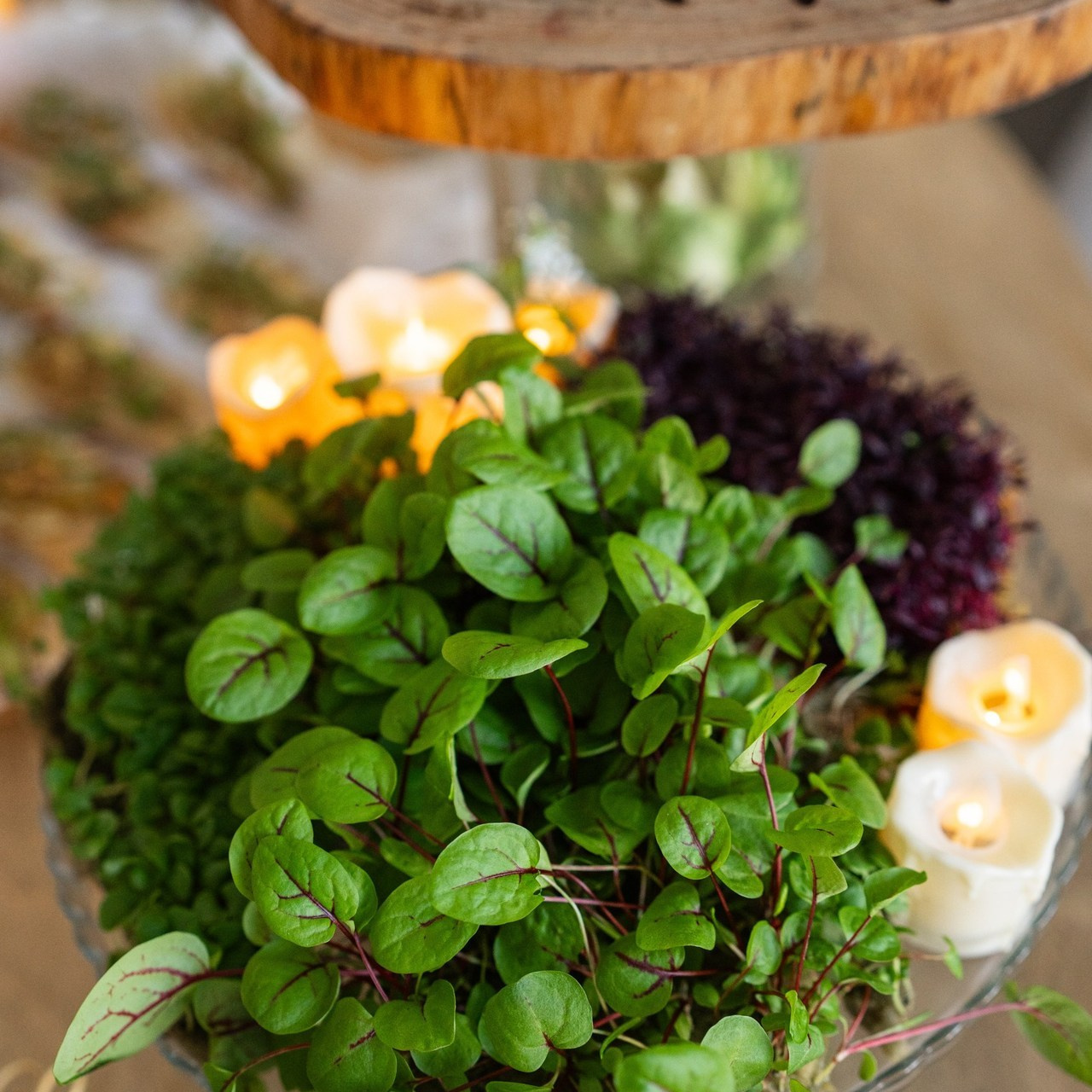 Отзывы. Фотограф в Москве Екатерина Панина