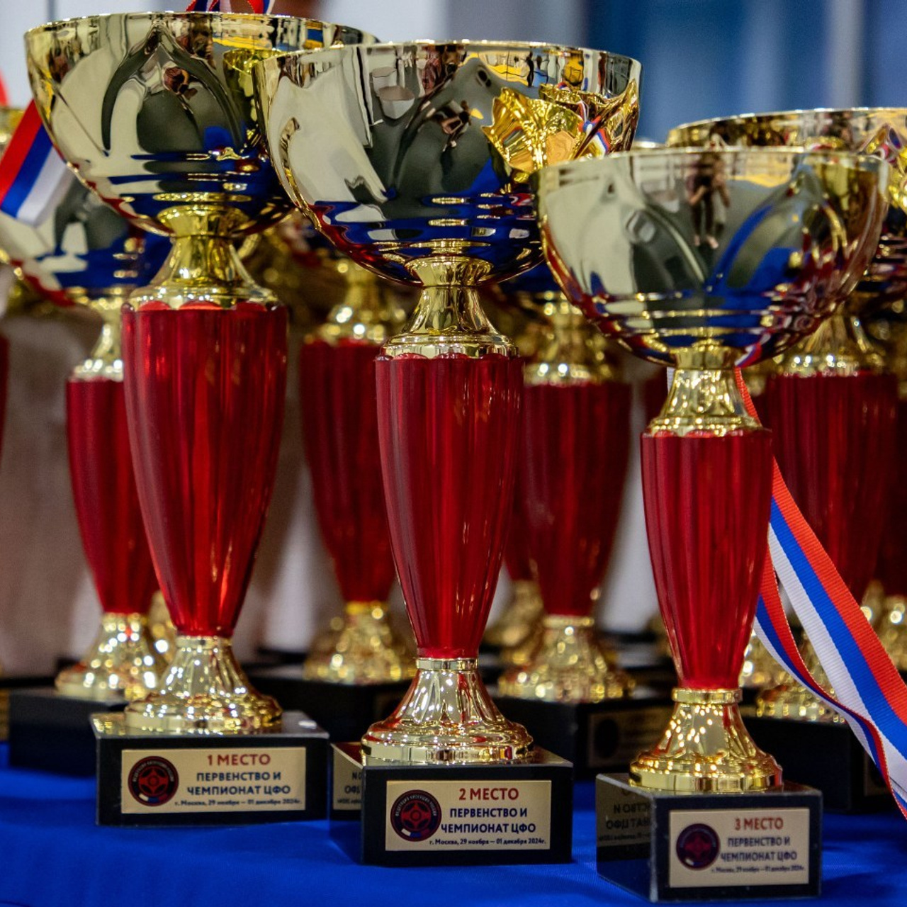 Отзывы. Фотограф Анна Алдошина