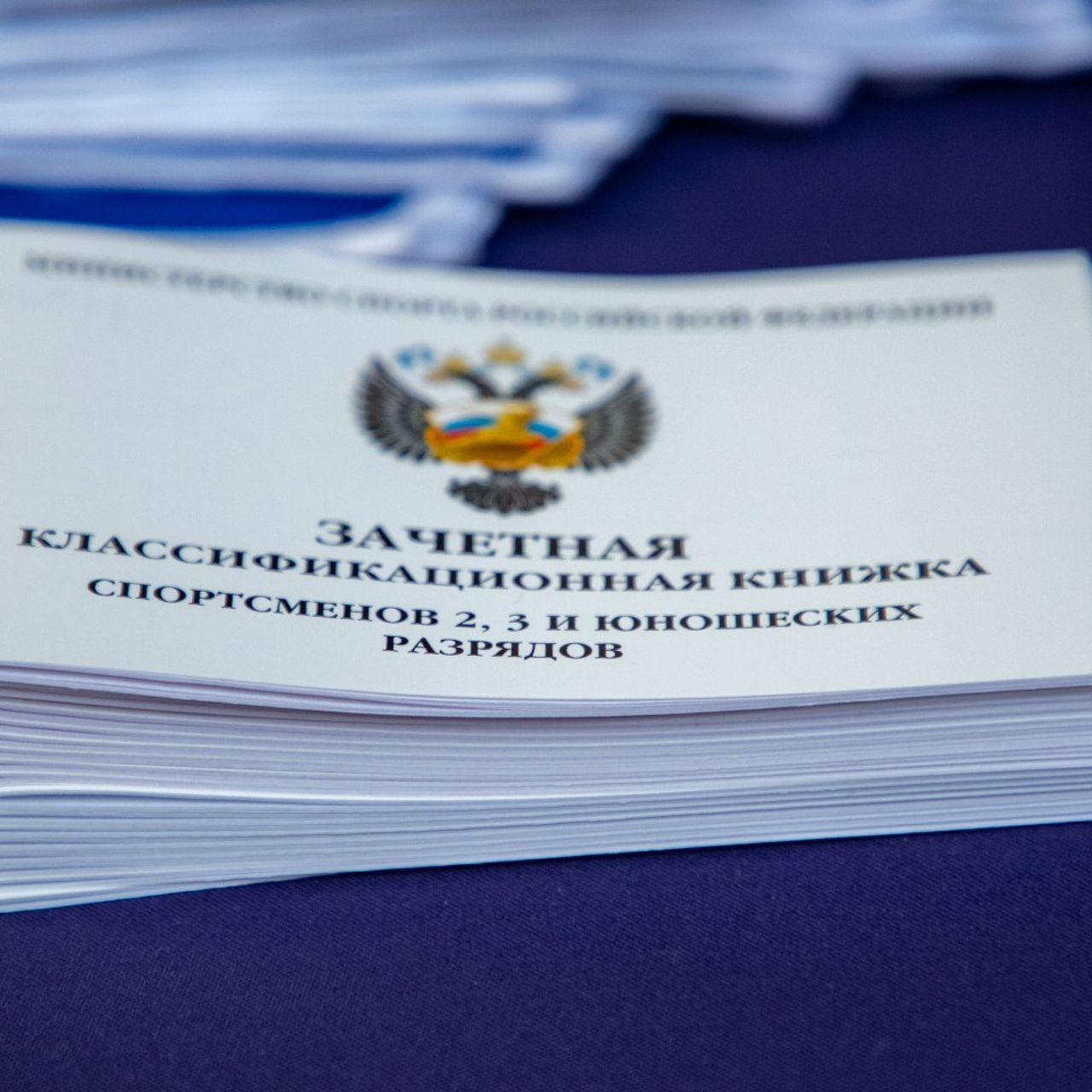 Отзывы. Фотограф Анна Алдошина