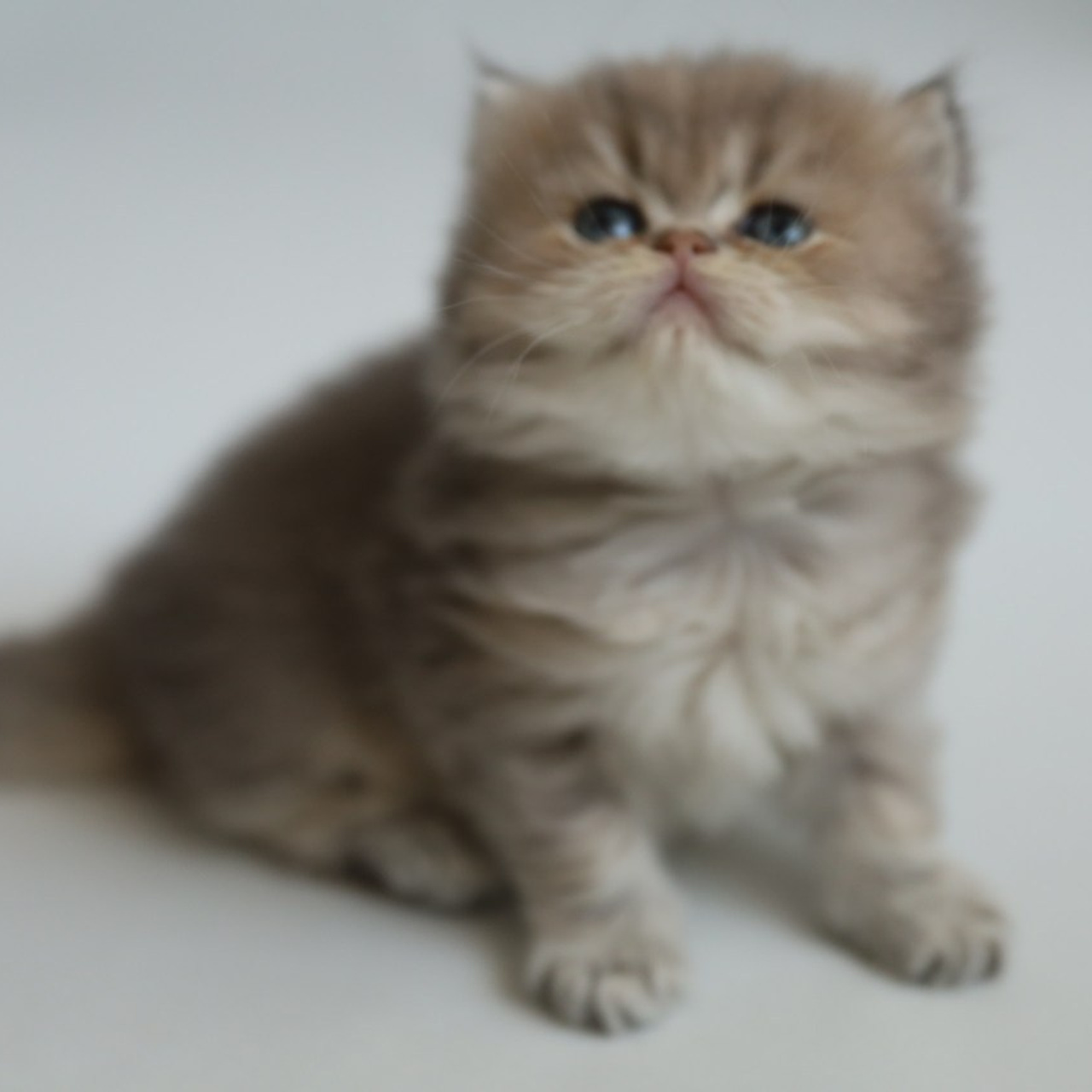 Отзывы. Семейный и женский фотограф в Краснодаре Виктория Гупало