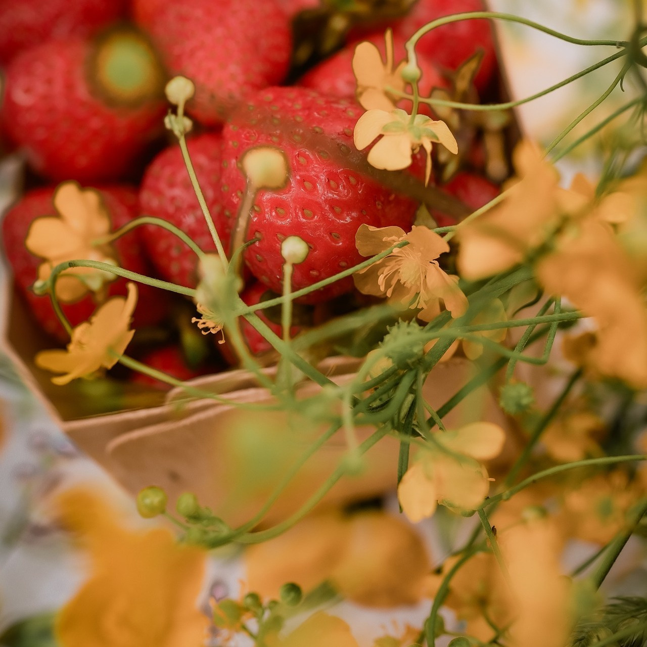 Отзывы. Свадебный и семейный фотограф Москва Варламова Виктория