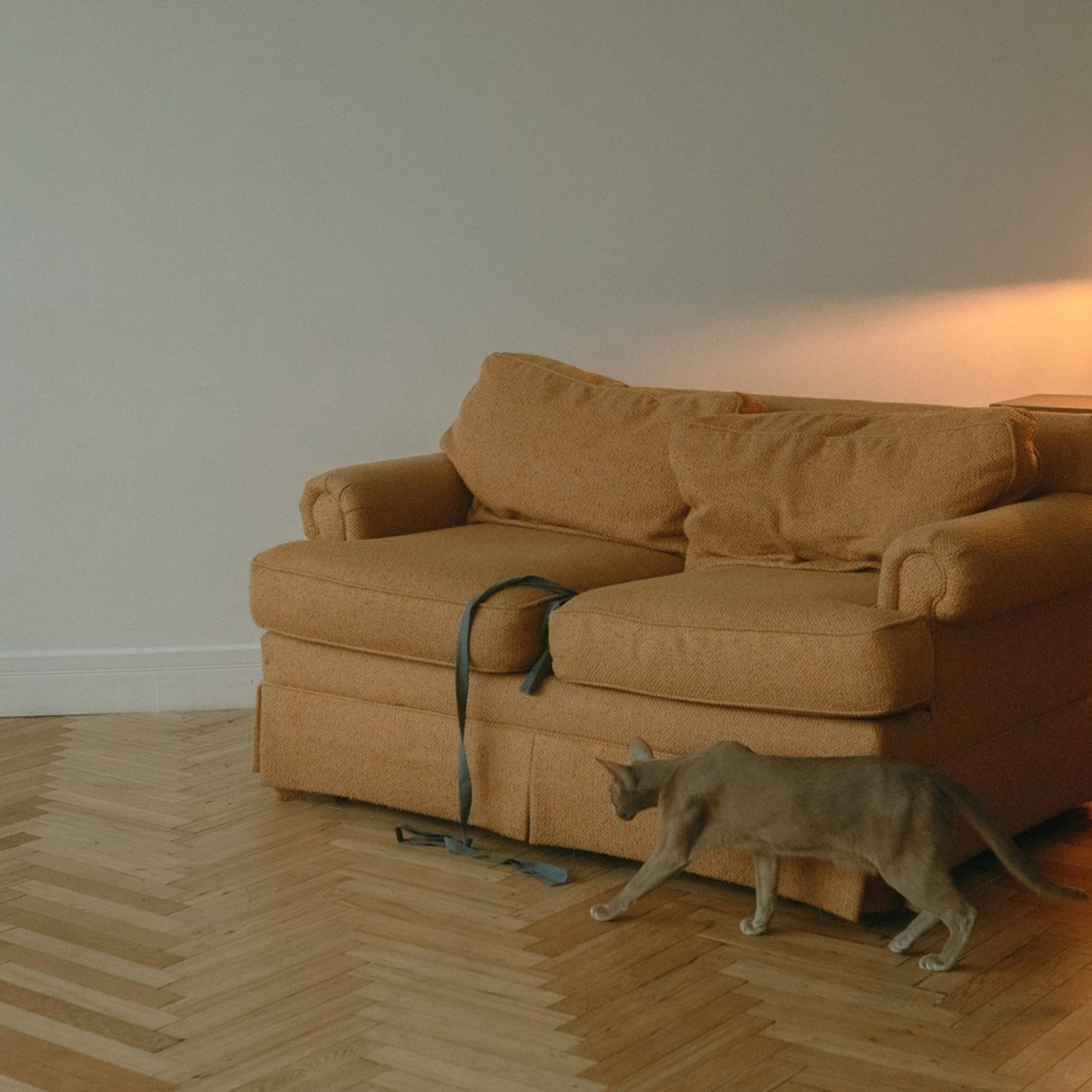 Отзывы. Фотограф-анималист Ксения Воробьева, Москва