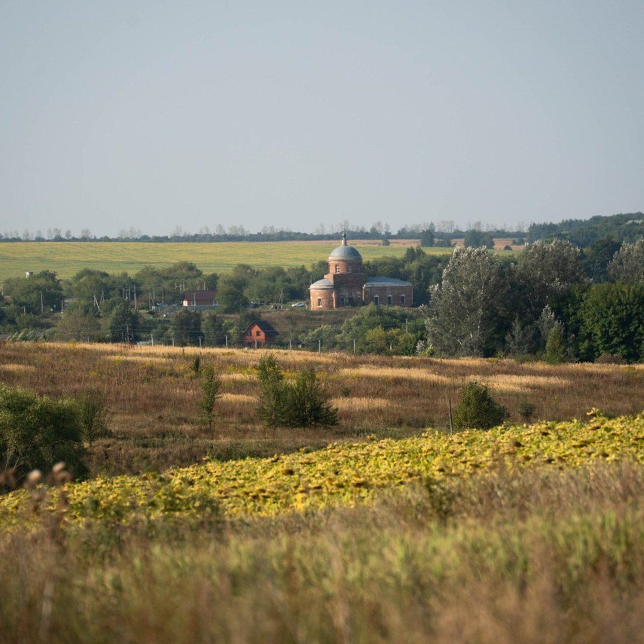 Отзывы о видеографе Татьяне Осининой. Видеограф Осинина Татьяна — видеосъемка в Москве
