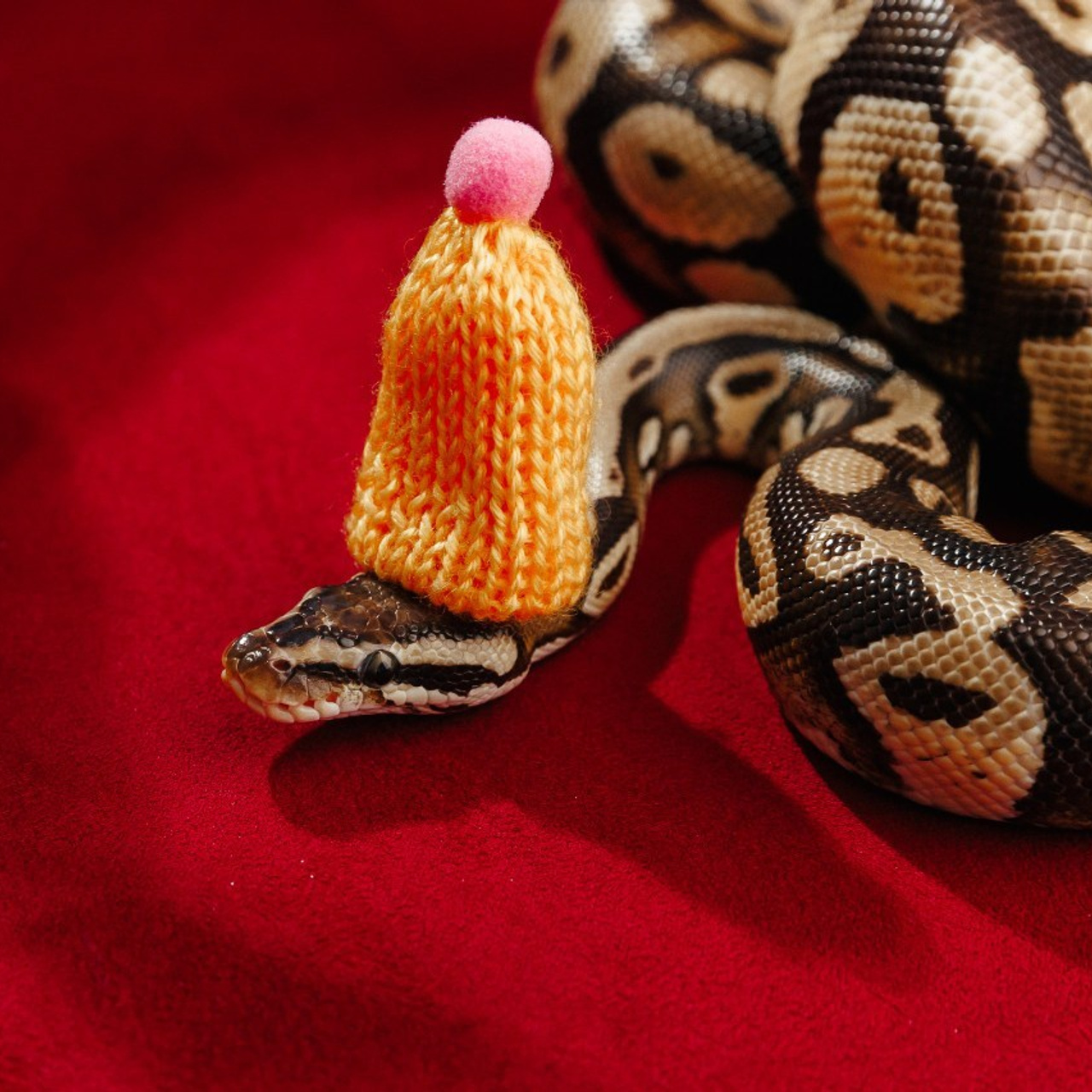 Reviews. Боченков Вадим | Фотограф в Пскове и Санкт-Петербурге