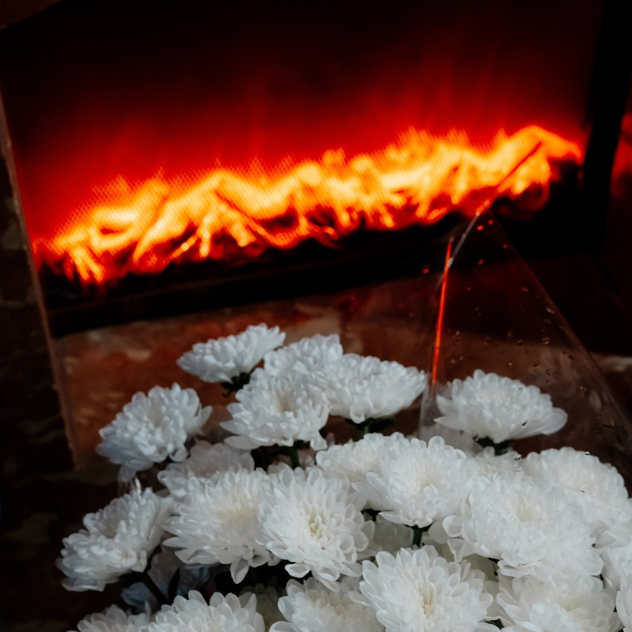 Отзывы. Свадебный и семейный фотограф в Сочи Никита Пищов