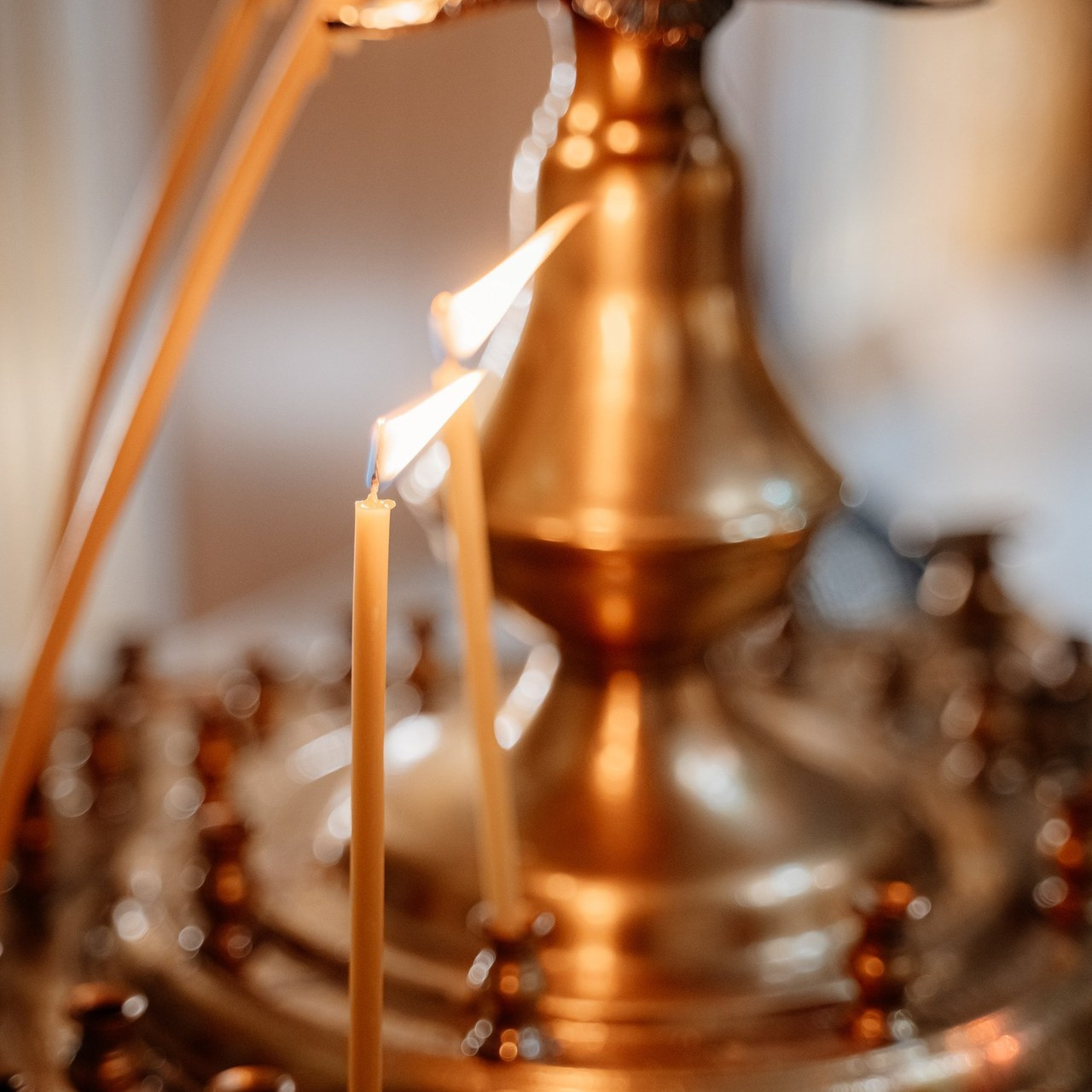 Отзывы. Свадебный и семейный фотограф в Сочи Никита Пищов