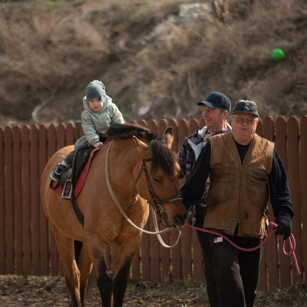 Отзывы. Конный фотограф в Саратове Юлия Иванова