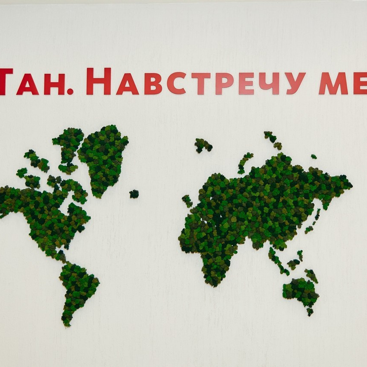 Отзывы. Свадебный репортажный и фуд фотограф в Барнауле Гайфулин Виталий