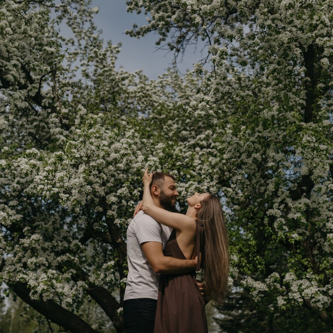 Отзывы. Услуги