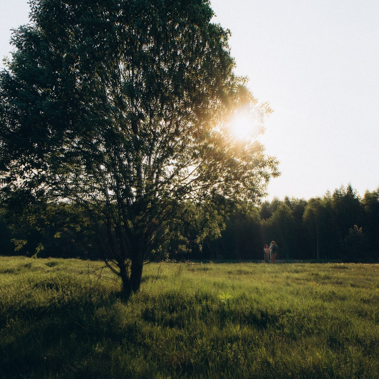 Отзывы. Фотограф в Зато Озёрном и Тверской области