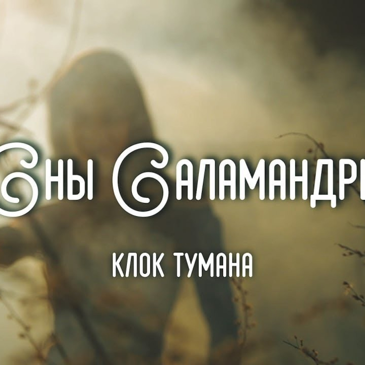 Саламандры