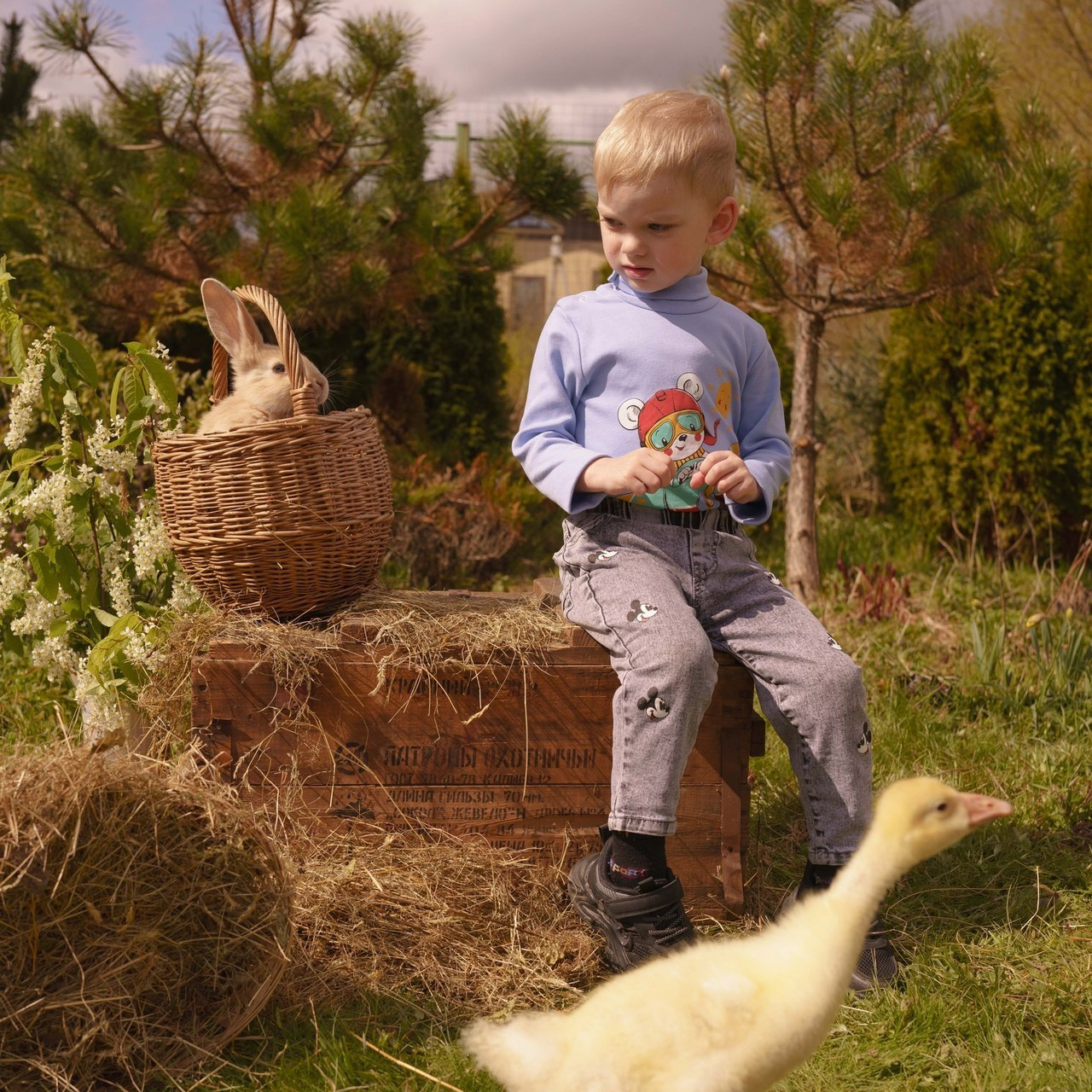 Отзывы. Детский и семейный фотограф в Рыбинске Юлия Дмитриева