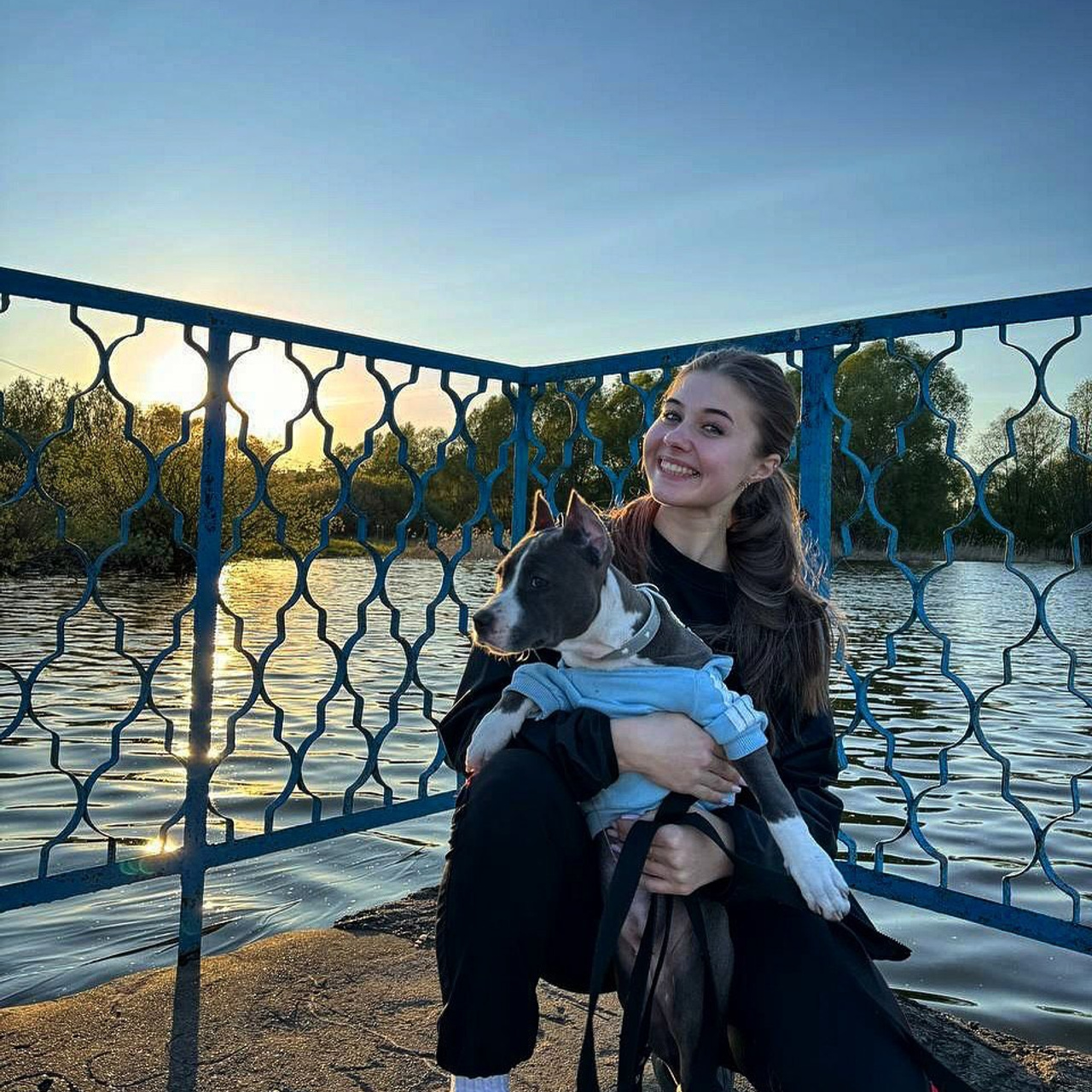 Отзывы. Питомник американских булли Bounty Pride Bully