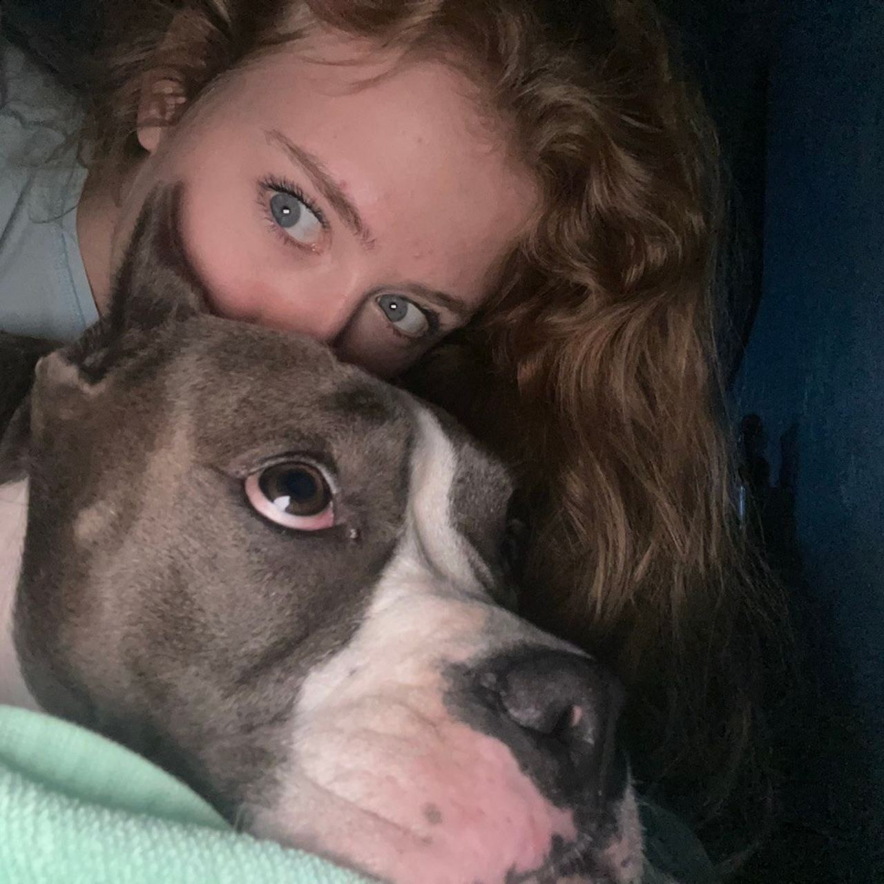 Отзывы. Питомник американских булли Bounty Pride Bully