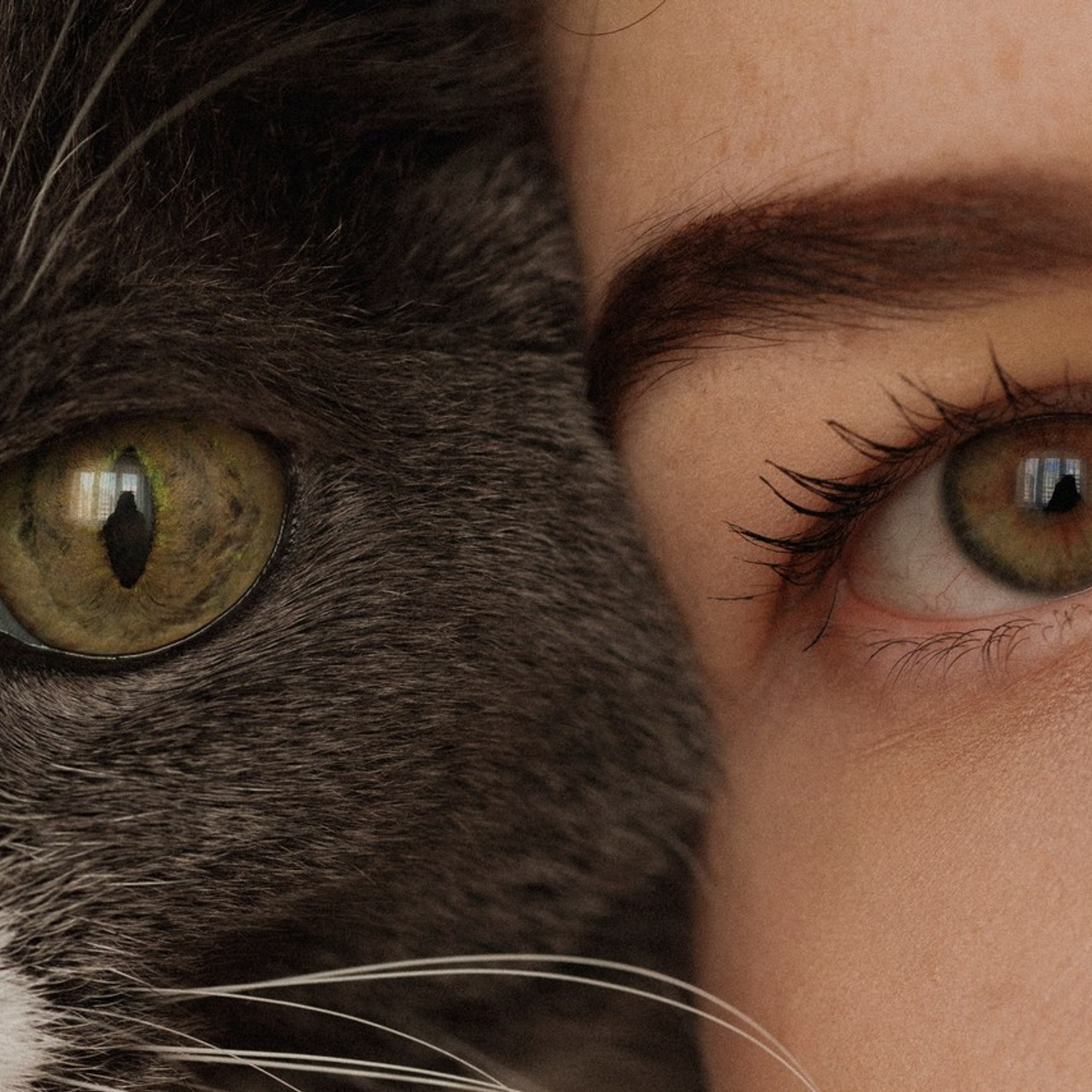 Отзывы. Фотограф, которого ты искал