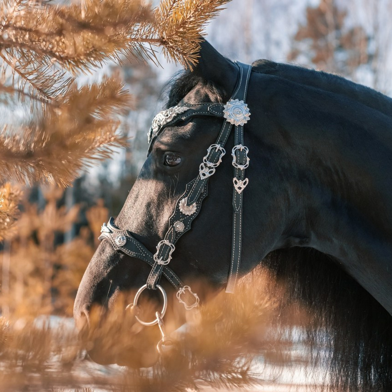 Отзывы. Фотограф Демид Никитин. г. Дубна, Москва