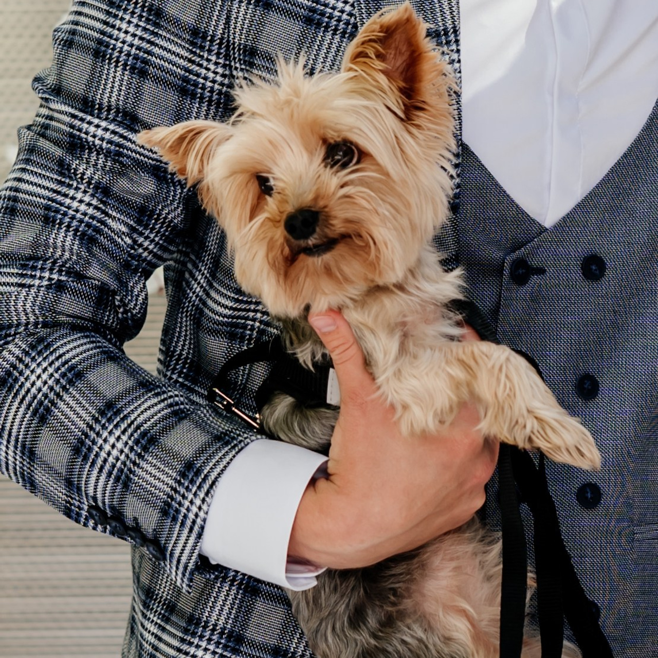 Даниил и Анастасия. Фотограф в Тамбове Дарья Выжанова