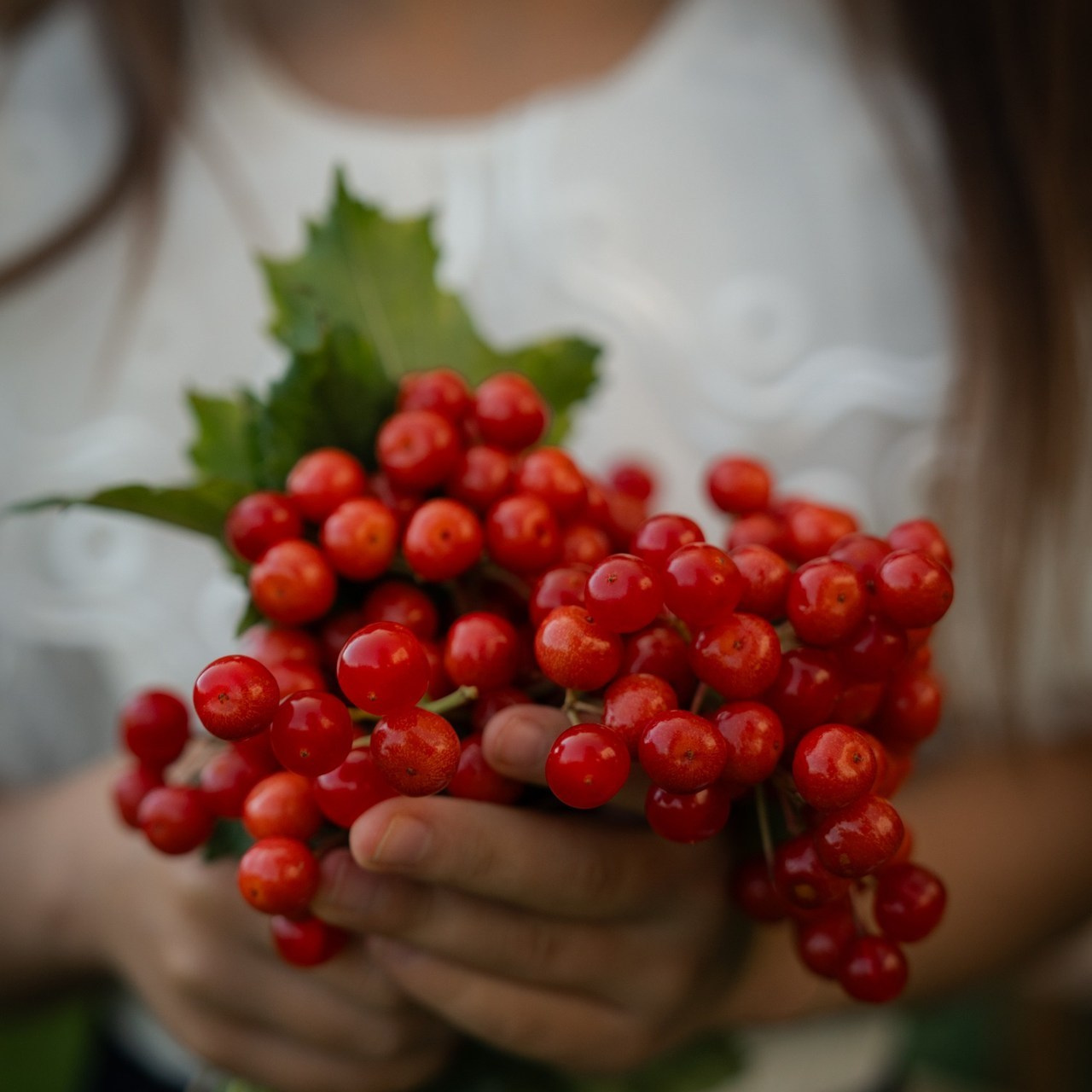 Отзывы. Content Studio фотостудия