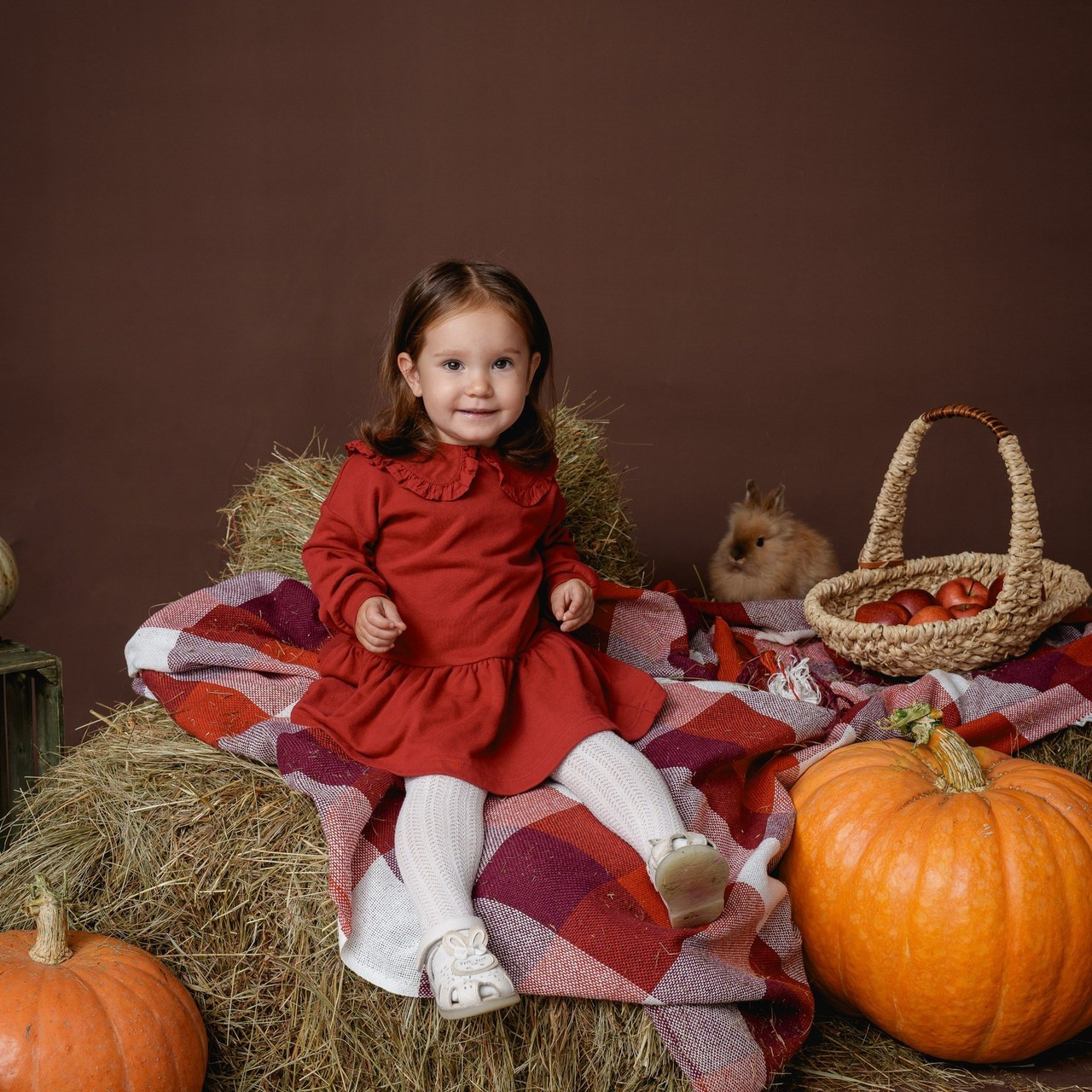 Отзывы. Content Studio фотостудия