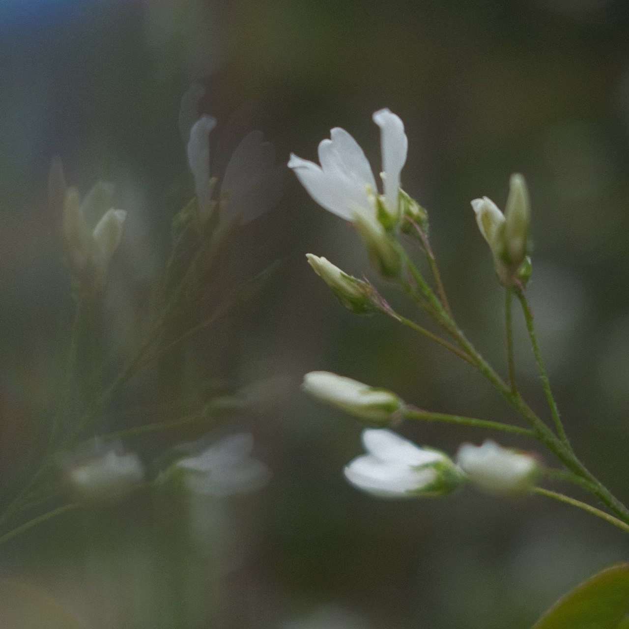 Фотограф в Москве Дарья Гоглева
