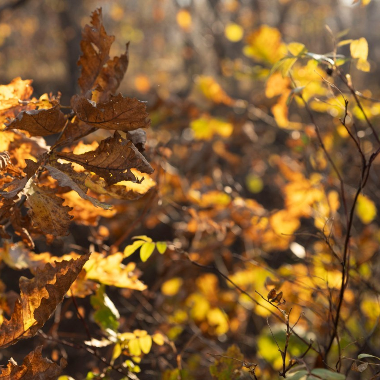 Отзывы. Фотограф и художница в Хабаровске Татьяна Трубникова