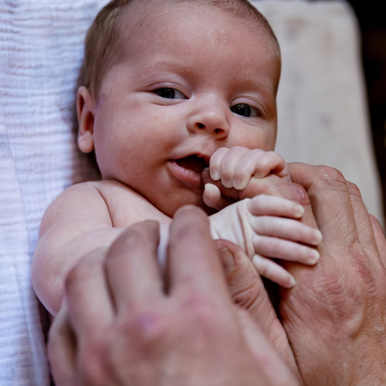 Отзывы. Семейный и детский фотограф в Домодедово Васина Екатерина