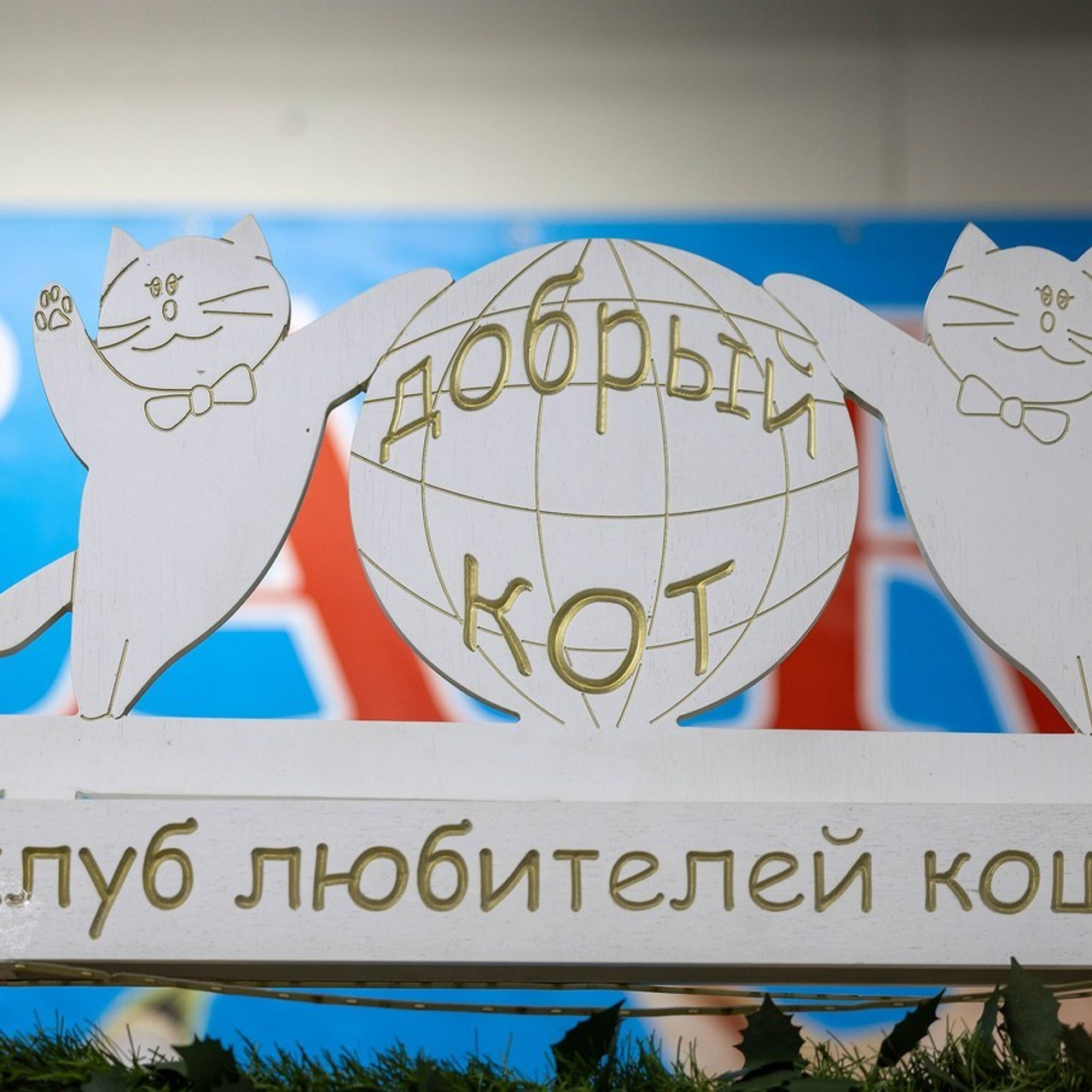 Отзывы. Фотограф-анималист в Омске Екатерина Маричева