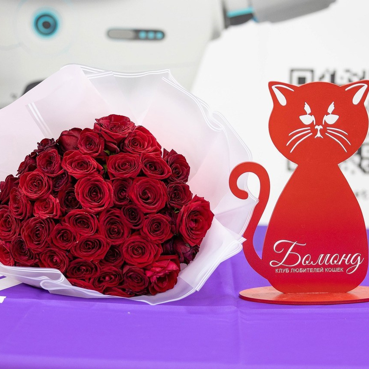 Отзывы. Фотограф-анималист в Омске Екатерина Маричева