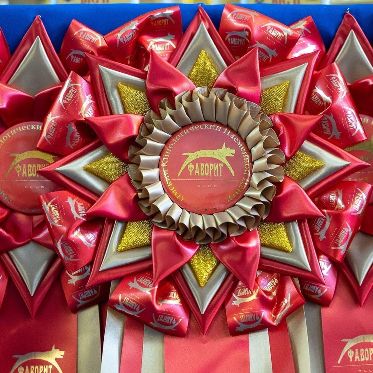 Отзывы. Фотограф-анималист в Омске Екатерина Маричева