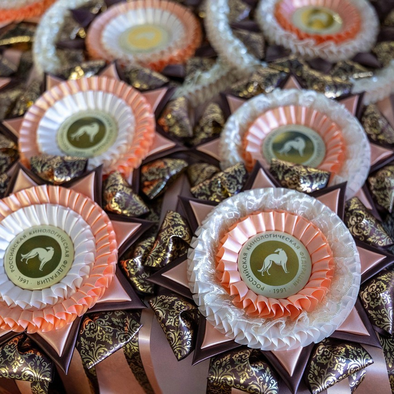 Отзывы. Фотограф-анималист в Омске Екатерина Маричева