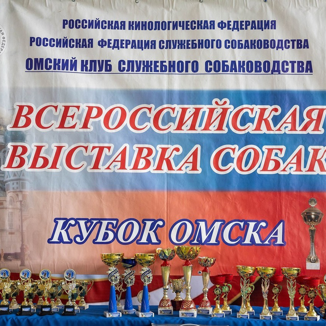 Отзывы. Фотограф-анималист в Омске Екатерина Маричева