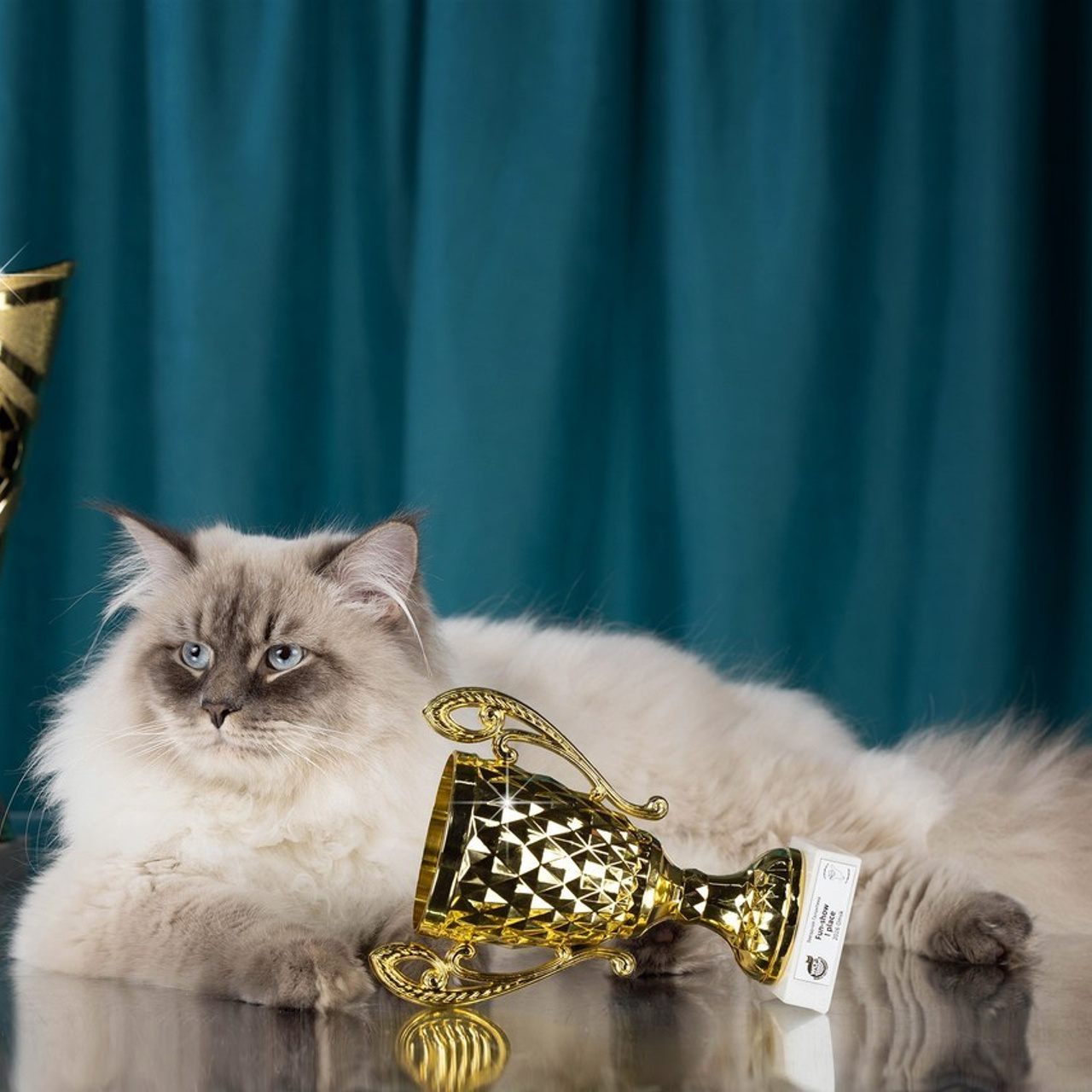 Отзывы. Фотограф-анималист в Омске Екатерина Маричева