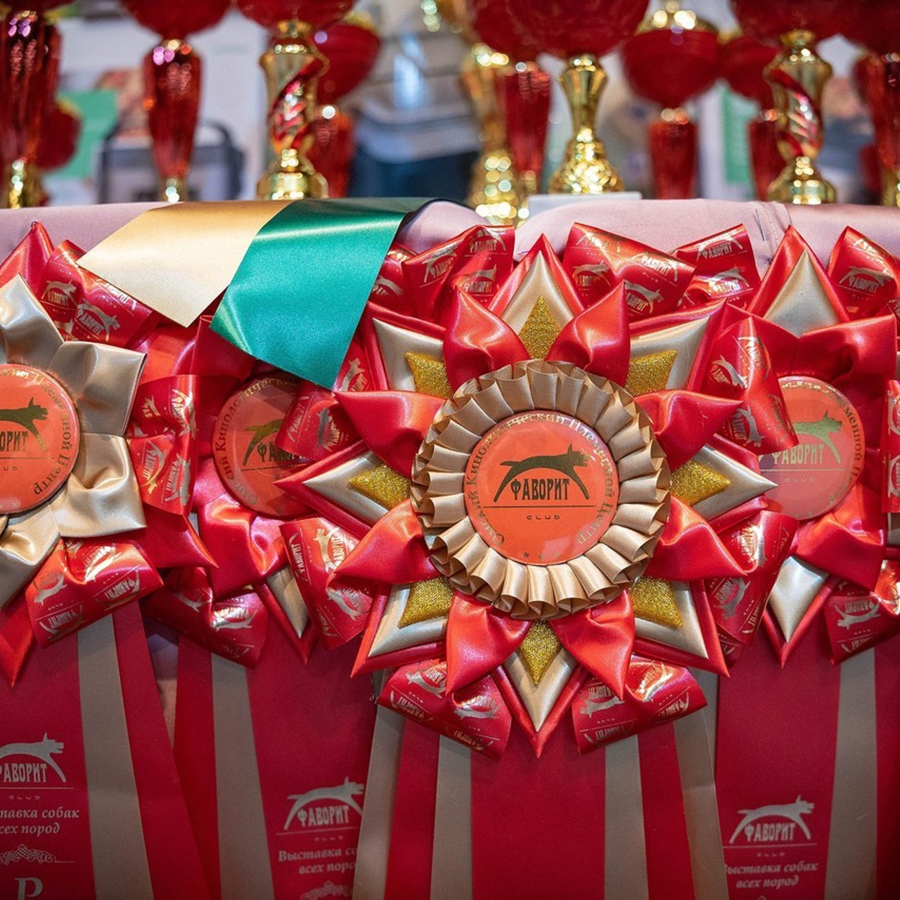 Отзывы. Фотограф-анималист в Омске Екатерина Маричева