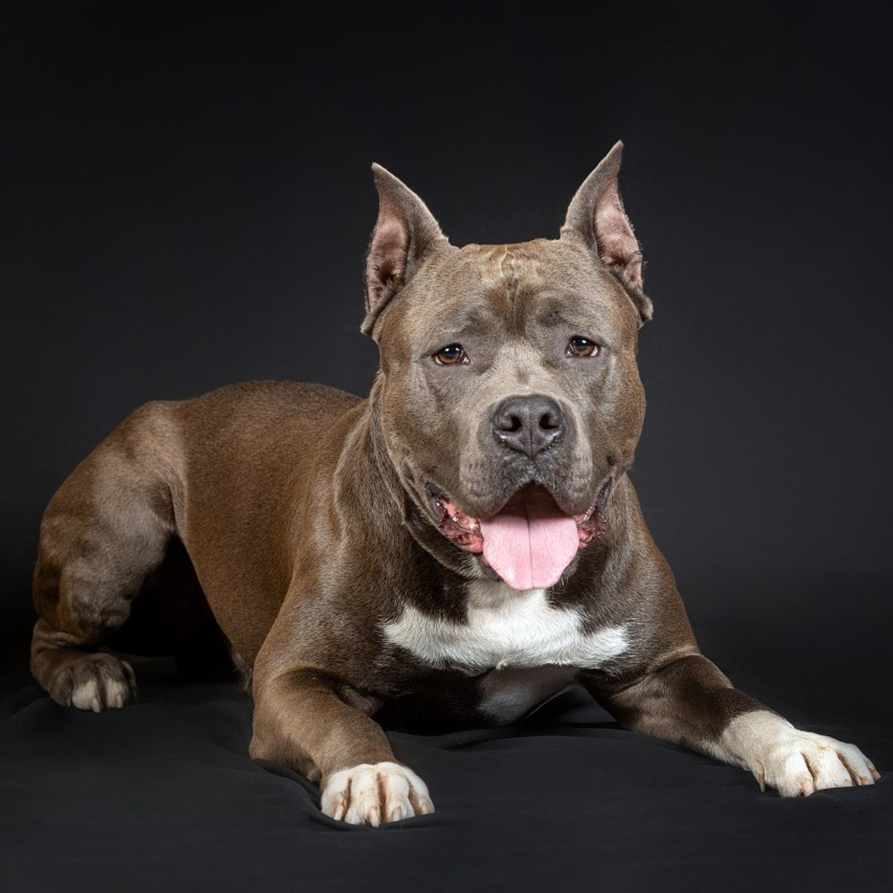 Отзывы. Фотограф-анималист в Омске Екатерина Маричева