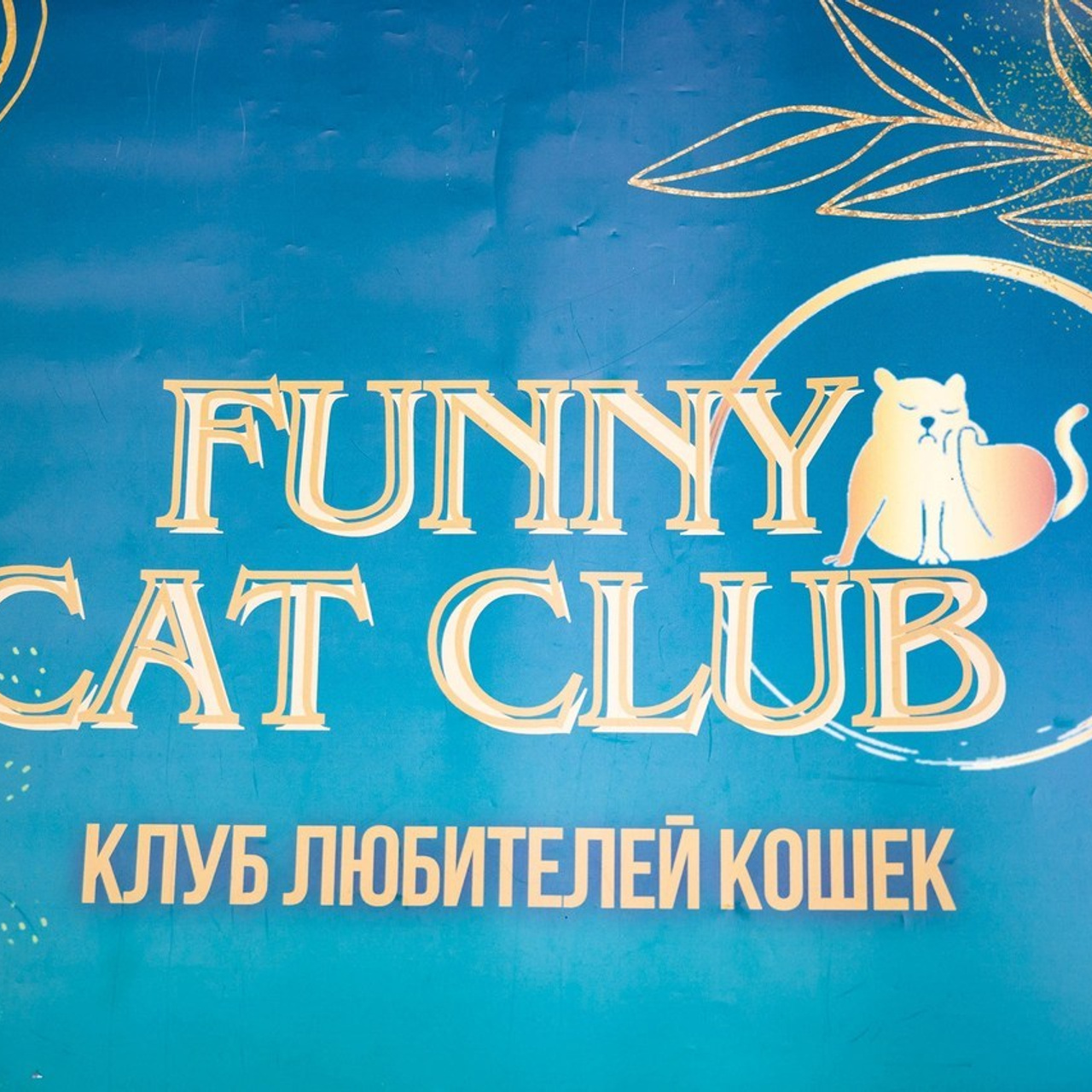 Отзывы. Фотограф-анималист в Омске Екатерина Маричева