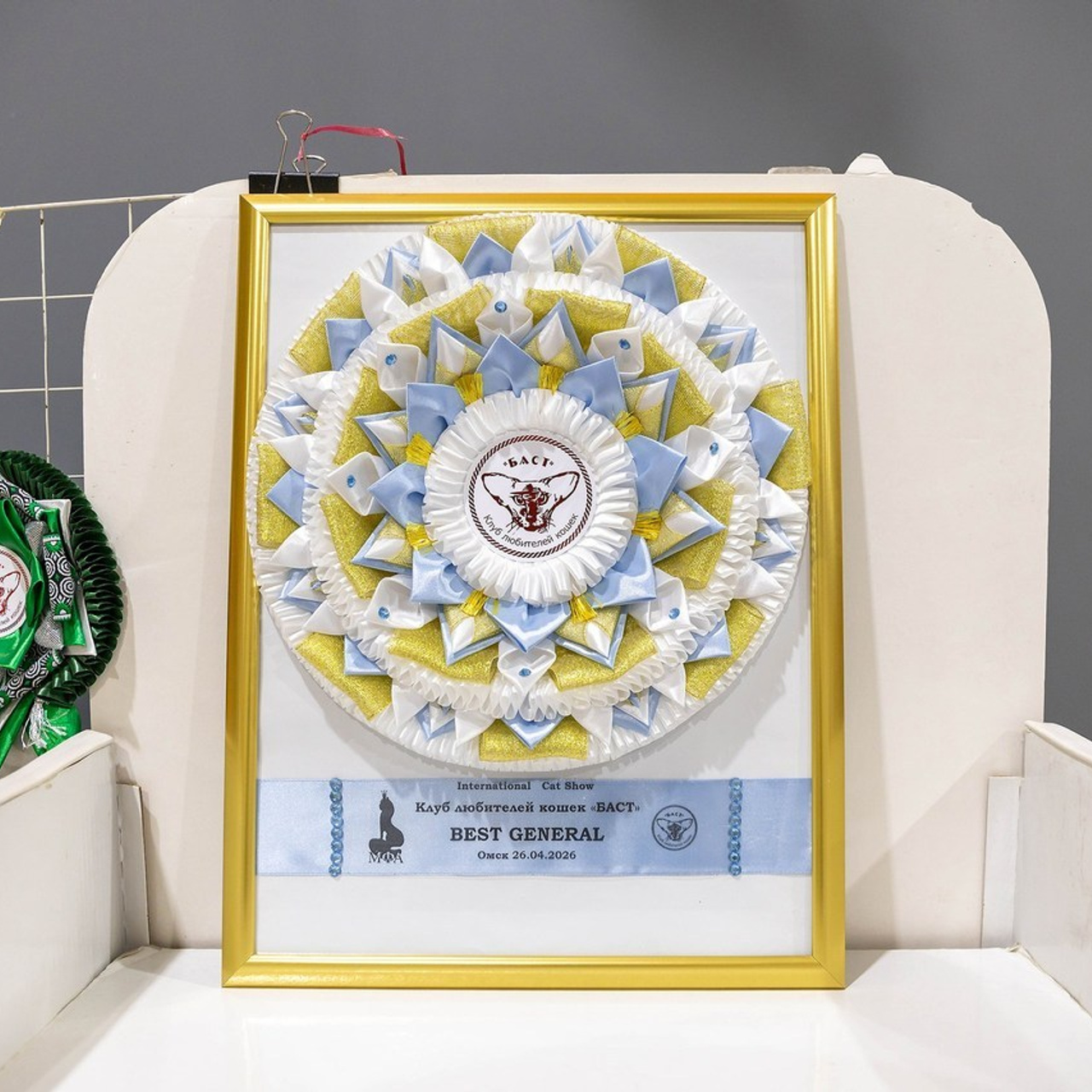 Отзывы. Фотограф-анималист в Омске Екатерина Маричева