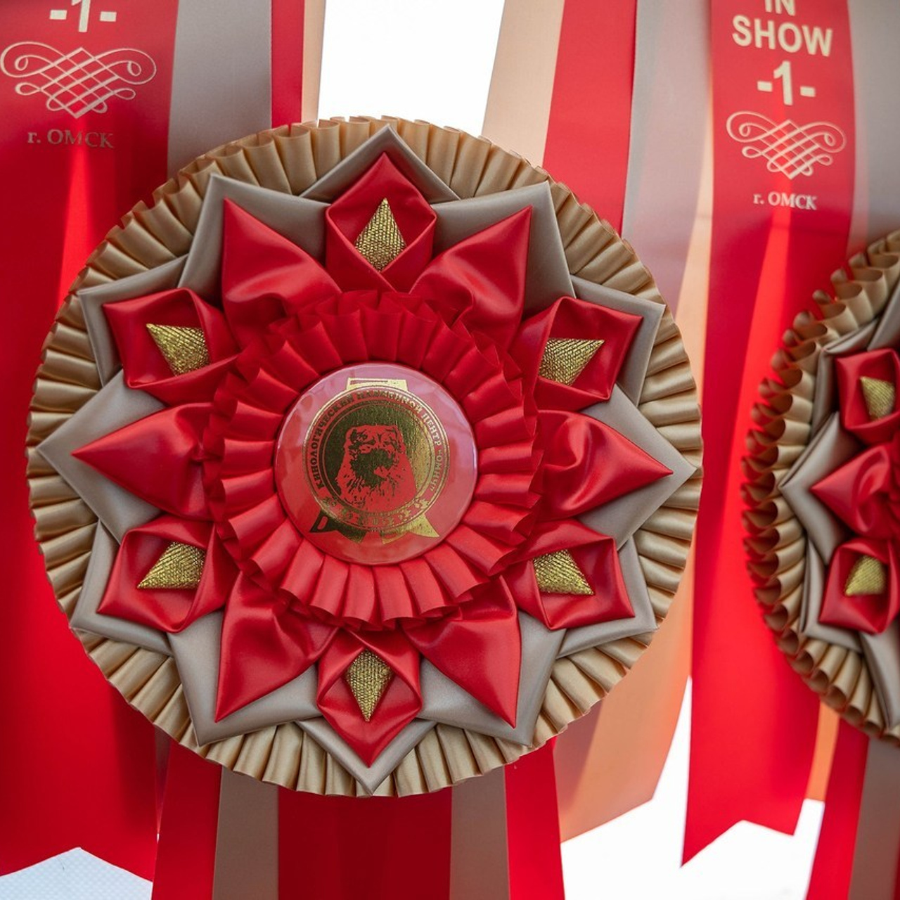 Отзывы. Фотограф-анималист в Омске Екатерина Маричева