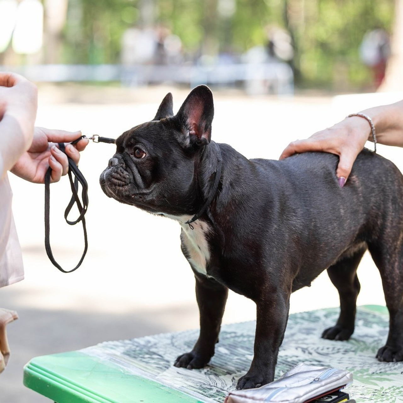 Отзывы. Фотограф Анималист в Перми Анастасия Остерман