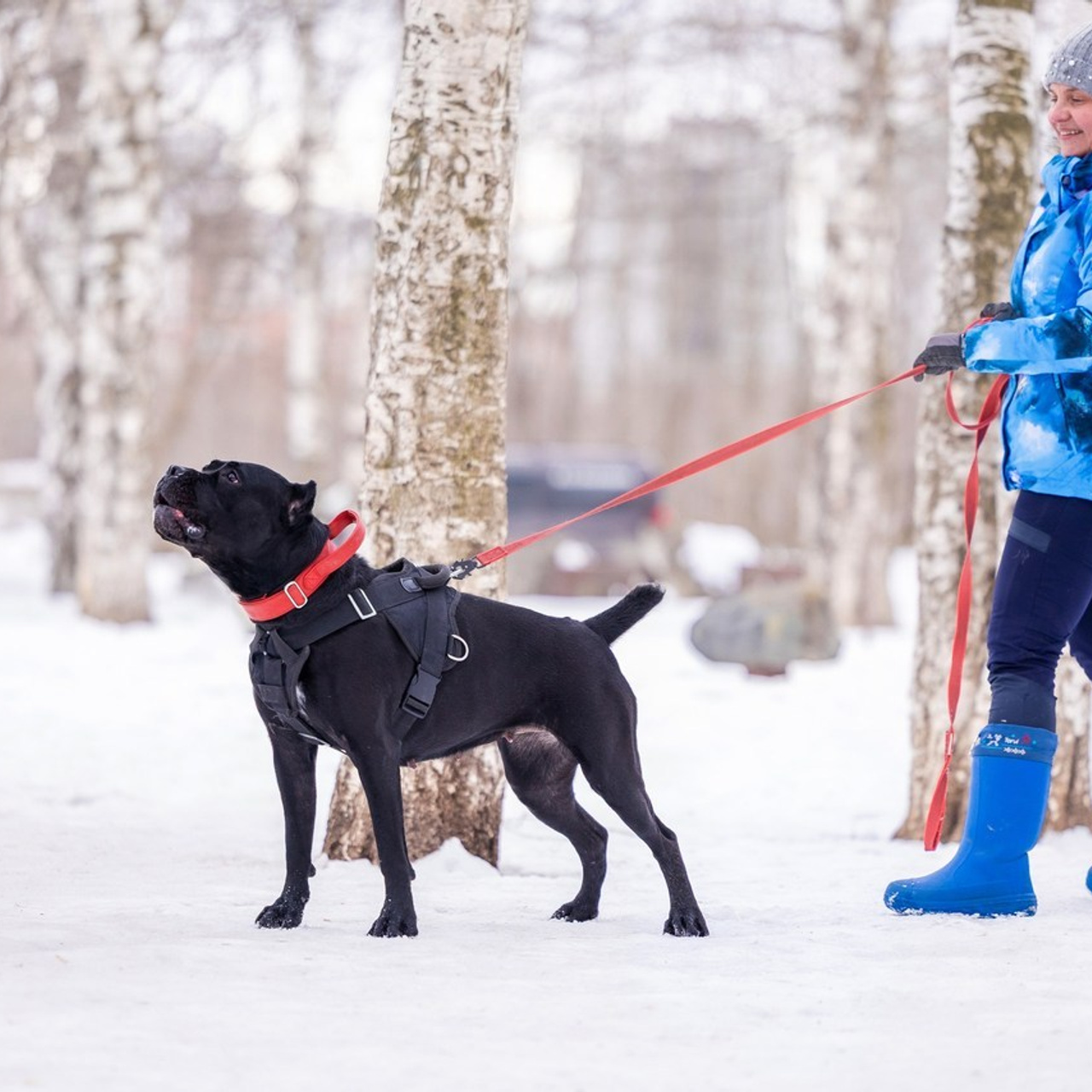 Отзывы. Фотограф Анималист в Перми Анастасия Остерман