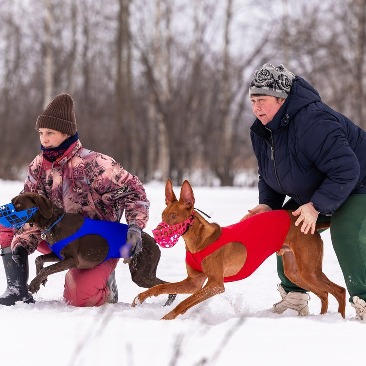 Отзывы. Фотограф Анималист в Перми Анастасия Остерман