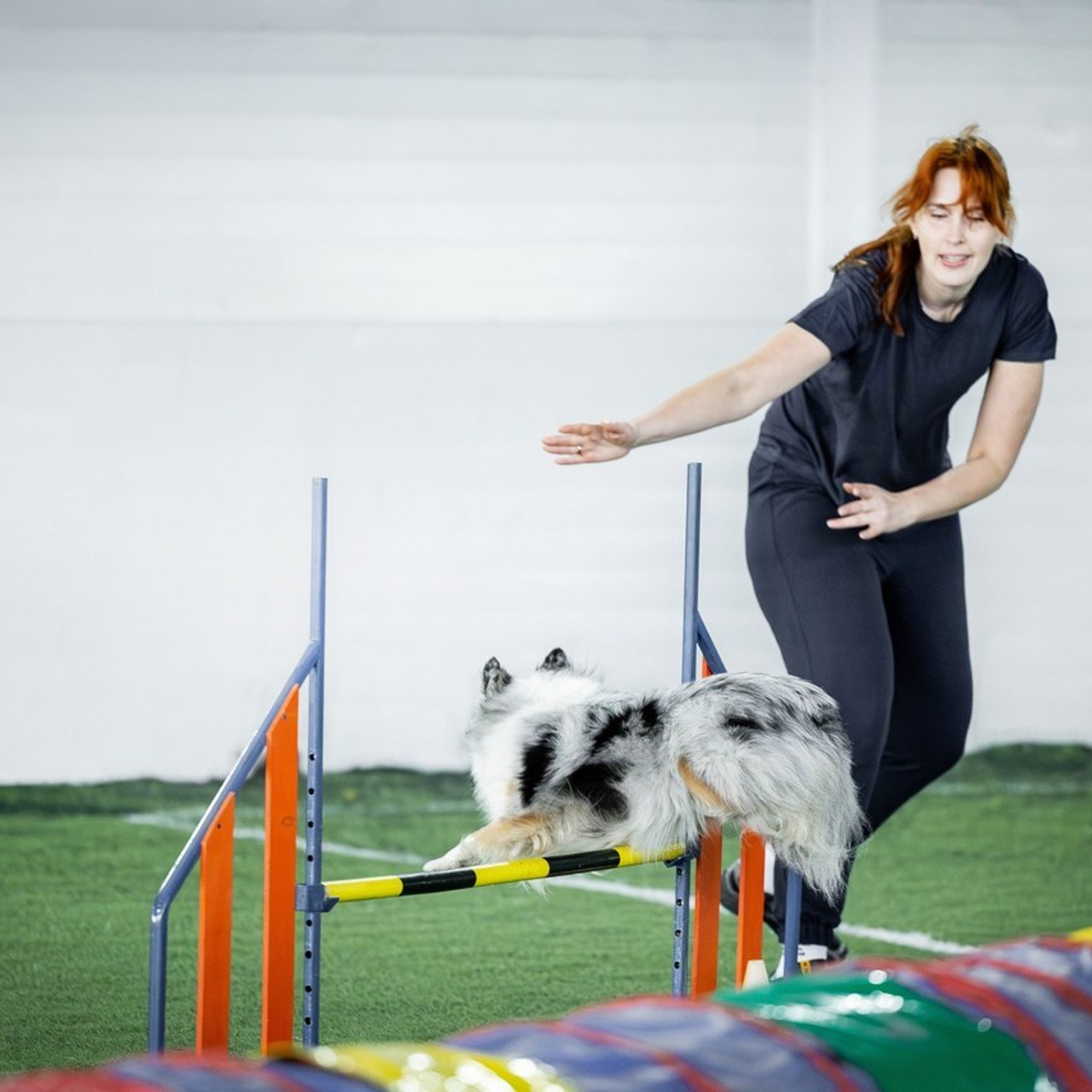 Отзывы. Фотограф Анималист в Перми Анастасия Остерман