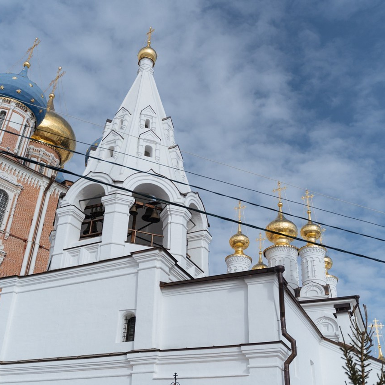 Отзывы. Свадебный и портретный фотограф в Рязани Ринета Цветкова