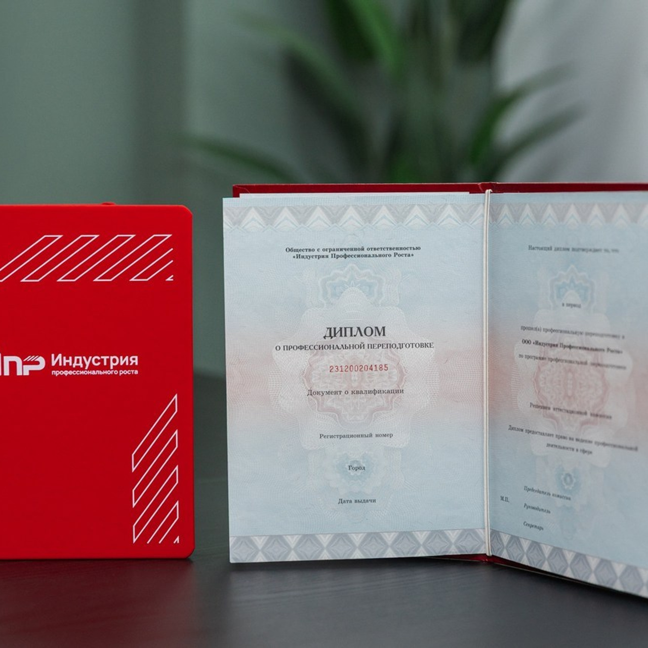 ОТЗЫВЫ. Фотограф в Краснодаре Анна Светикова