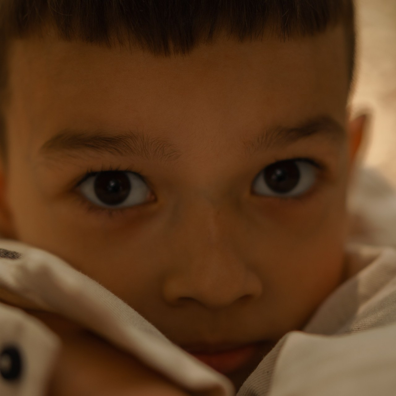 Отзывы. Дарья Смирнова.Портретная и жанровая фотография в Москве