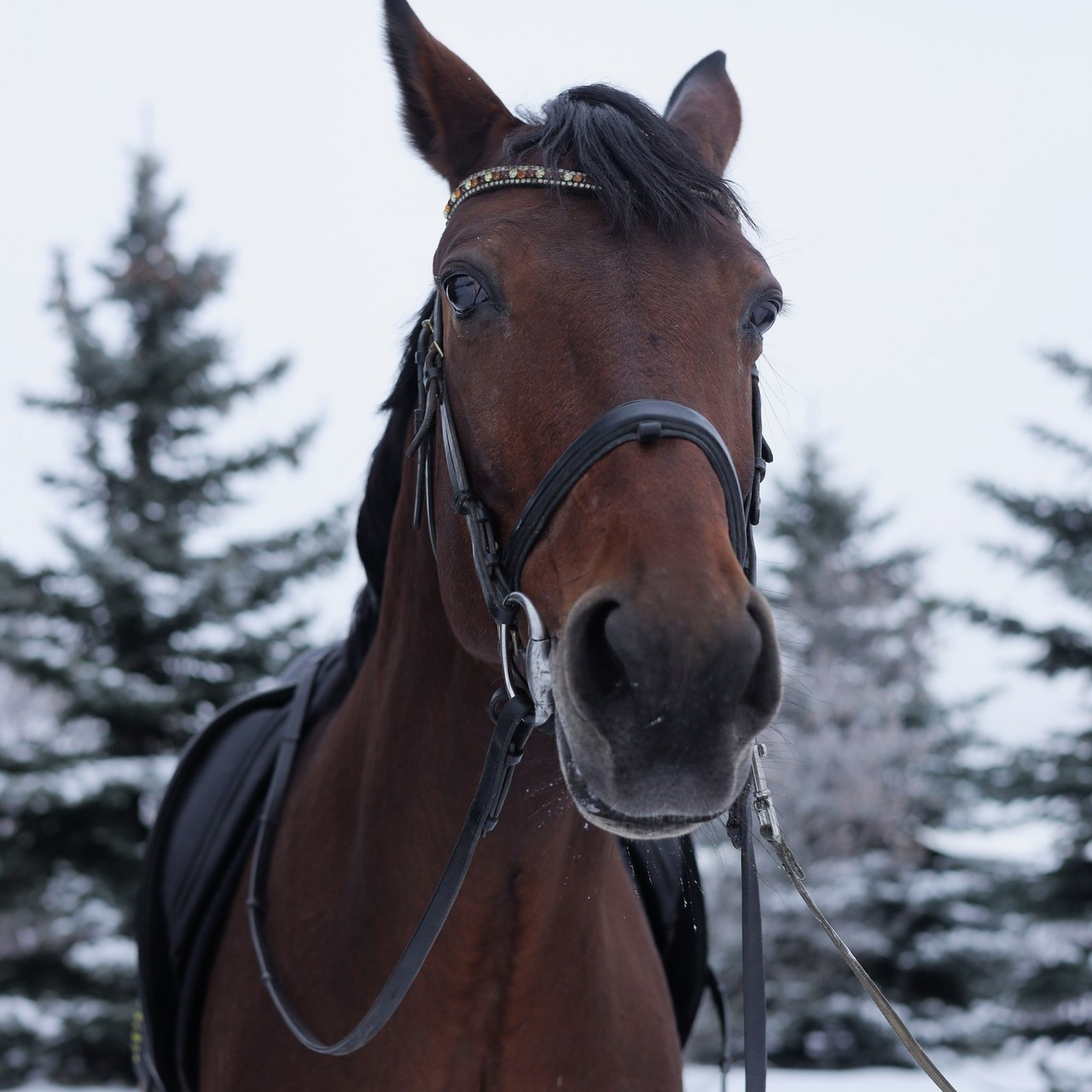 Отзывы. Главная