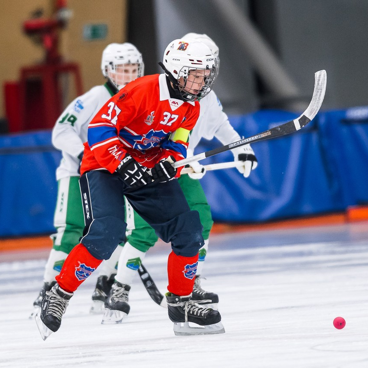 Отзывы. Репортажный фотограф в Кемерово