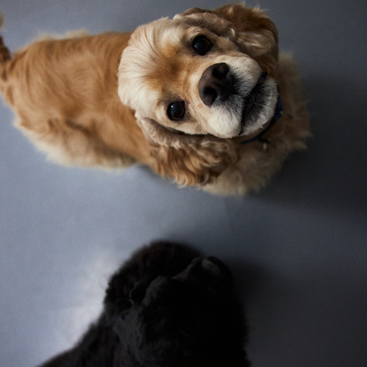 Отзывы. Фотограф во Владимире Борисова Наталья