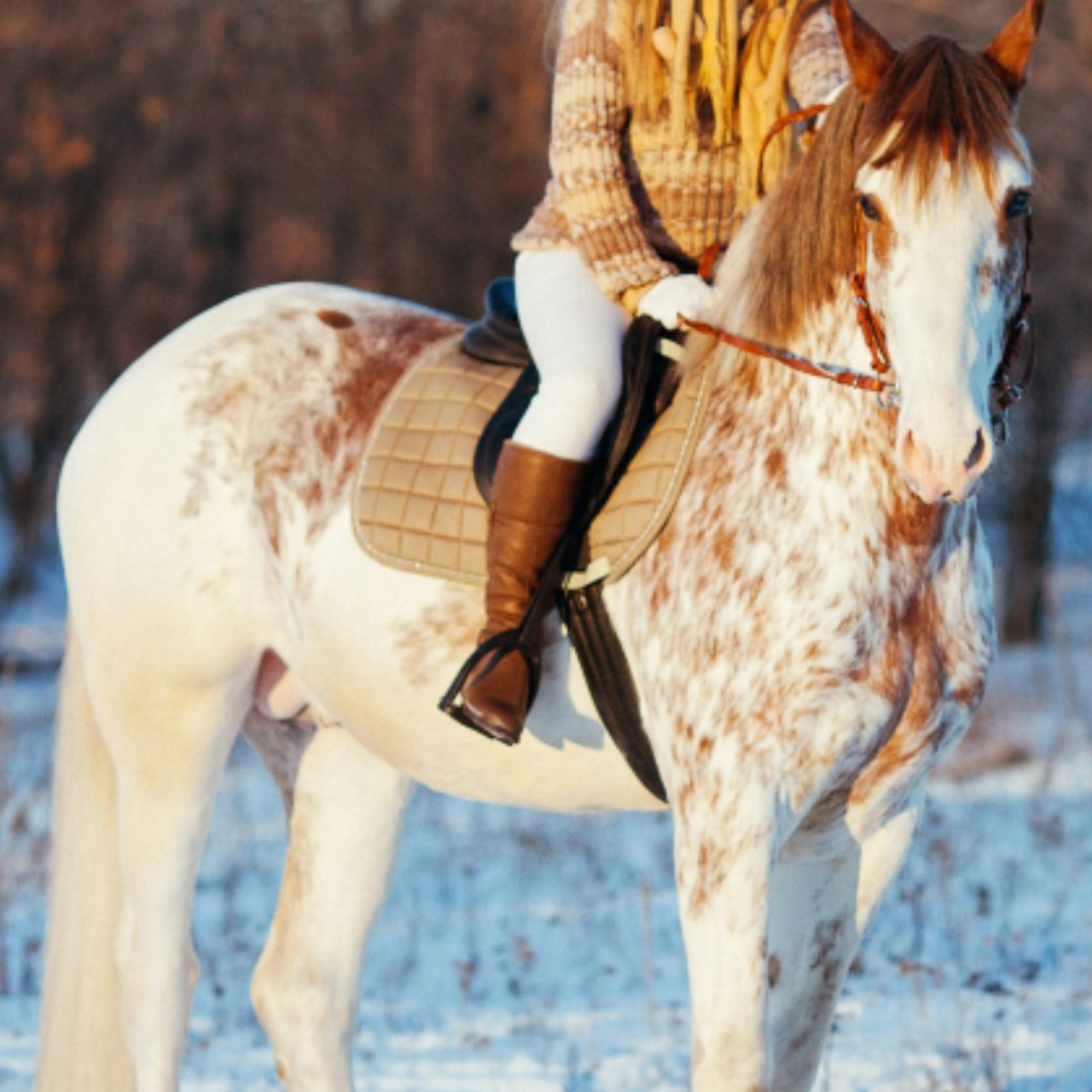 Отзывы. Конный фотограф в Челябинске Стромова Ольга